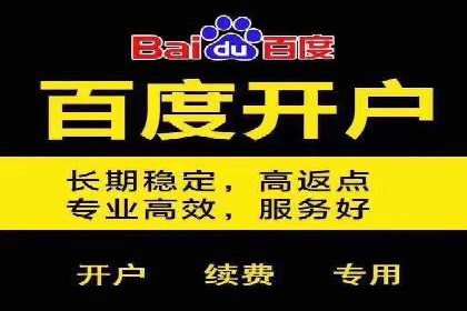 某行业巨头背后的百度竞价托管公司合作故事